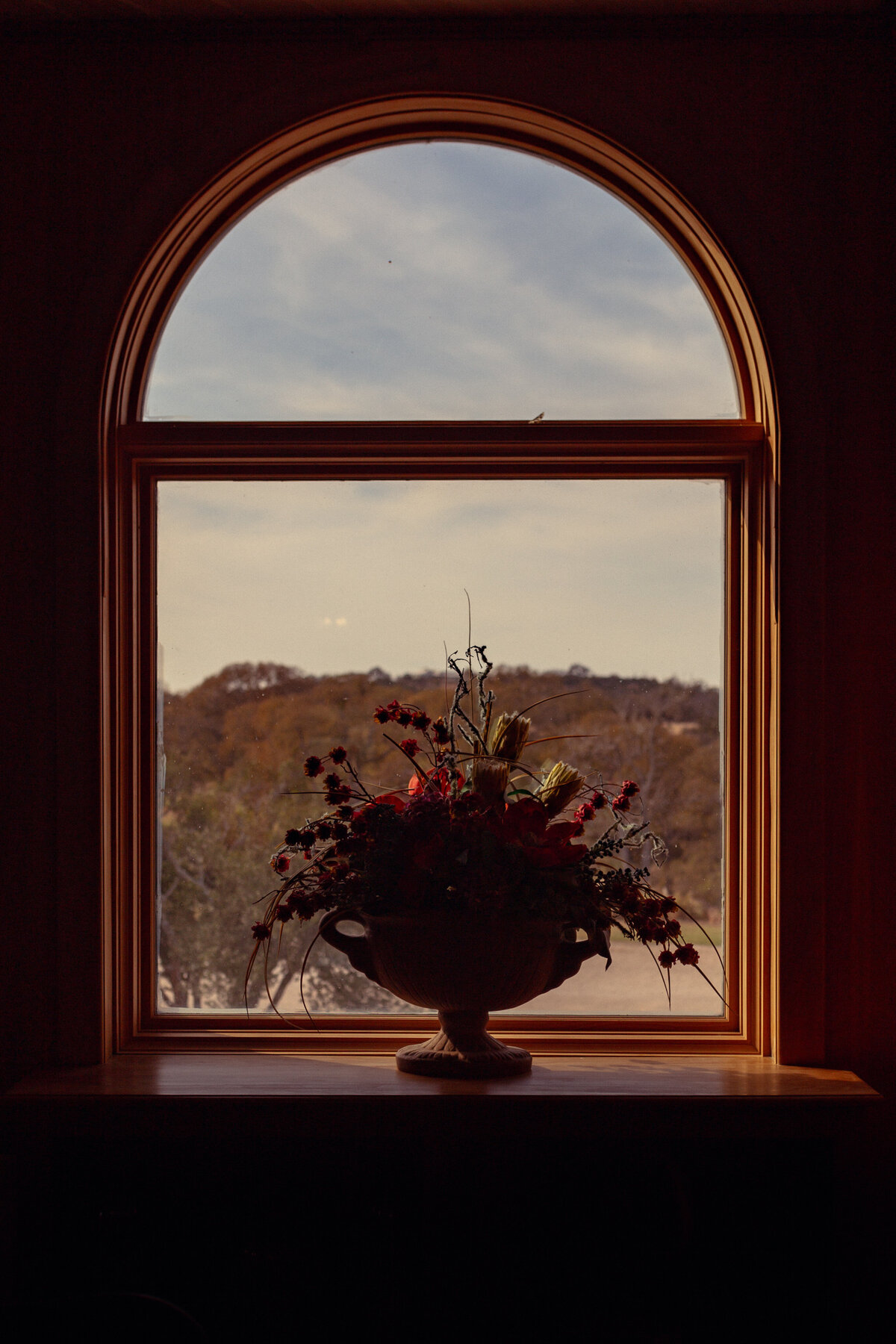Shepherd - 1 Before - Payton Hartsell Photography-19