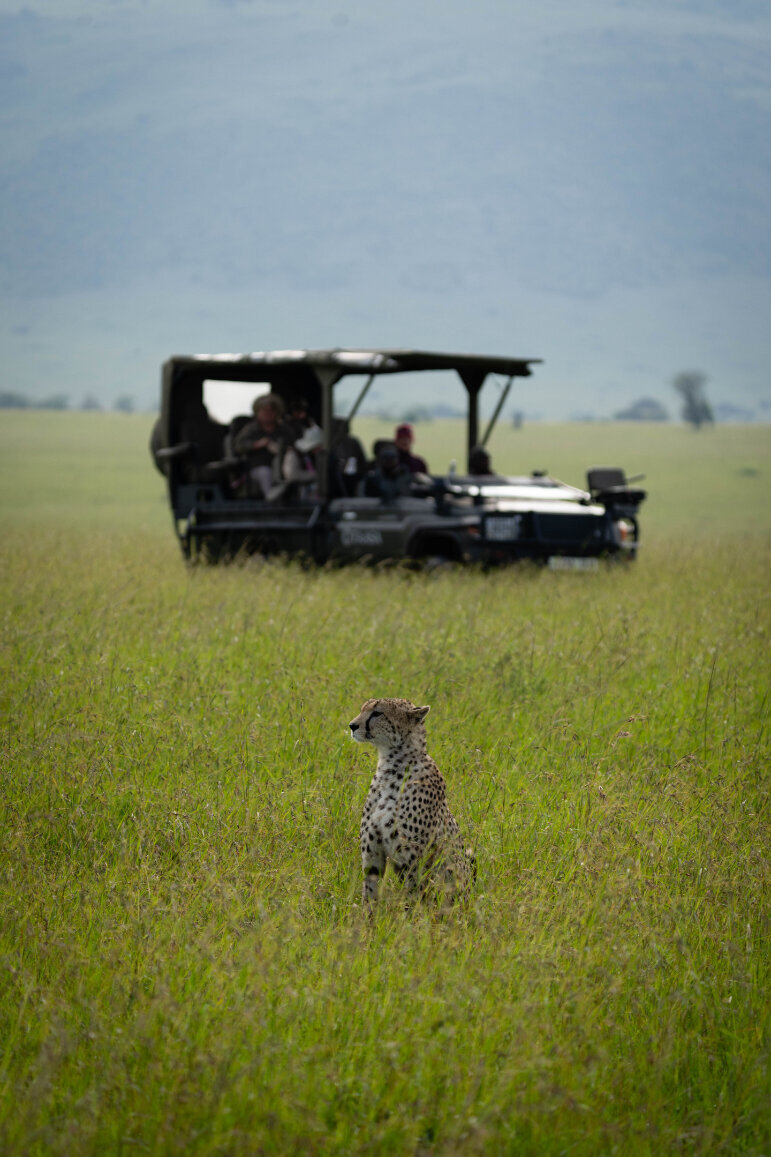 TAASA Lodge - Wildlife & Safari (1)