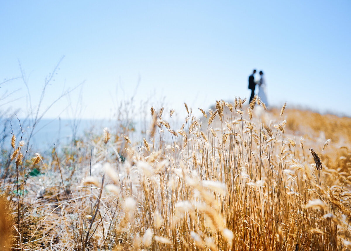 Wedding couple on a cliffside with the ocean, surrounded by wheat