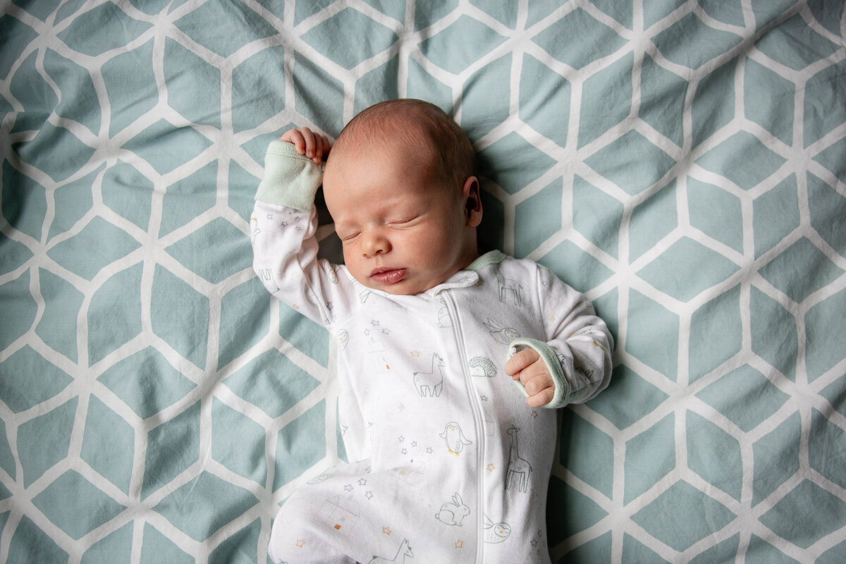 Newborn photographer