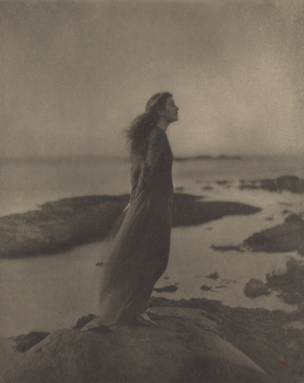 Rocky Beach Portrait | Nicole Chapman Design