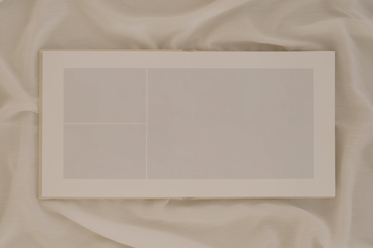 Seldex-FlatLay_Mockup copy