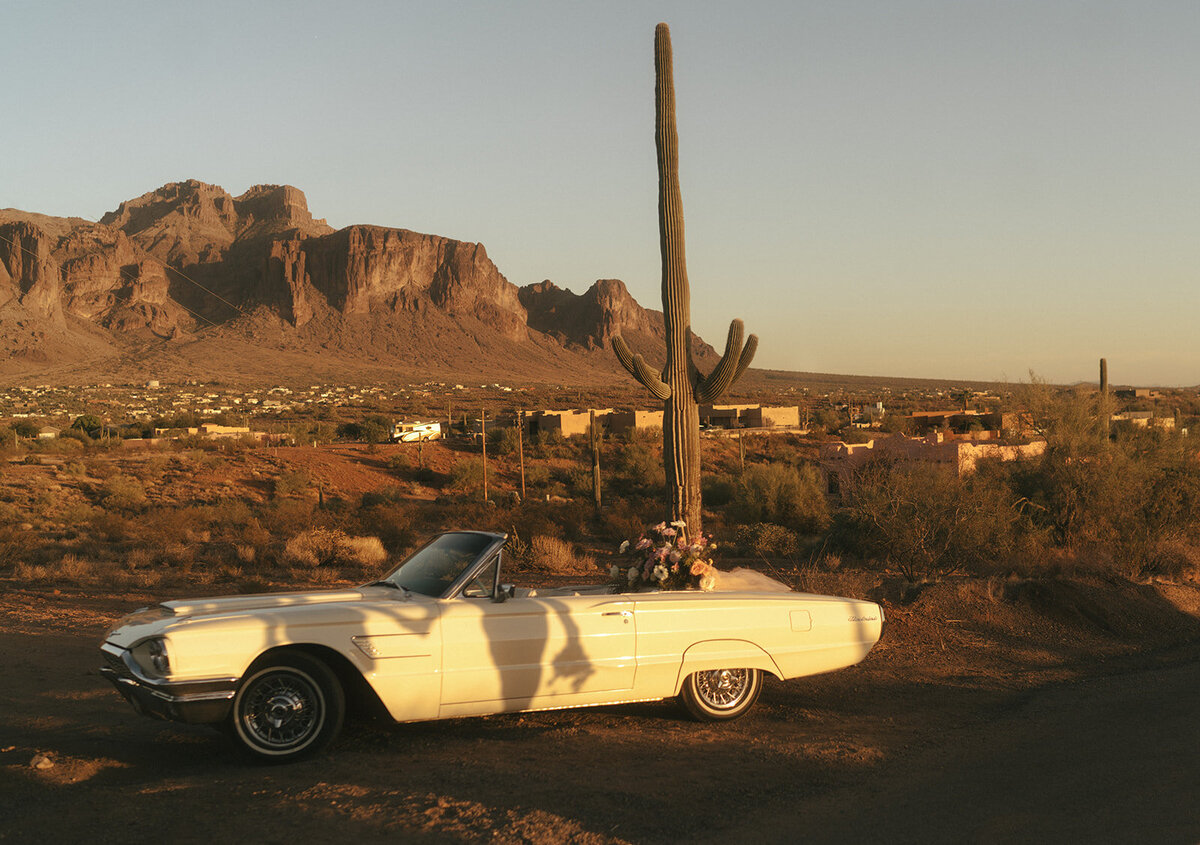 arizona-scottsdale-elopement-photographer-taylor-dawning-photography-61_websize