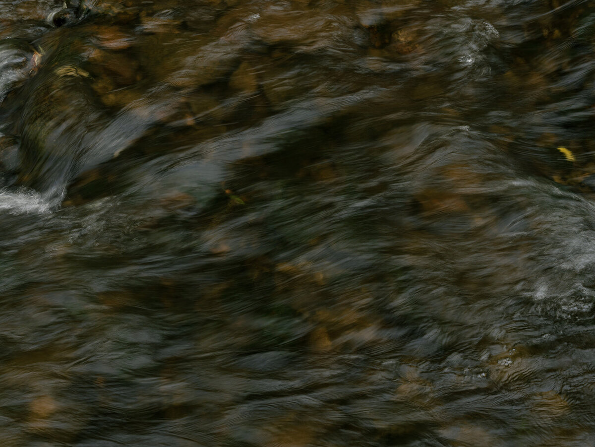 Vanessa & Gabriel Wedding - 0844