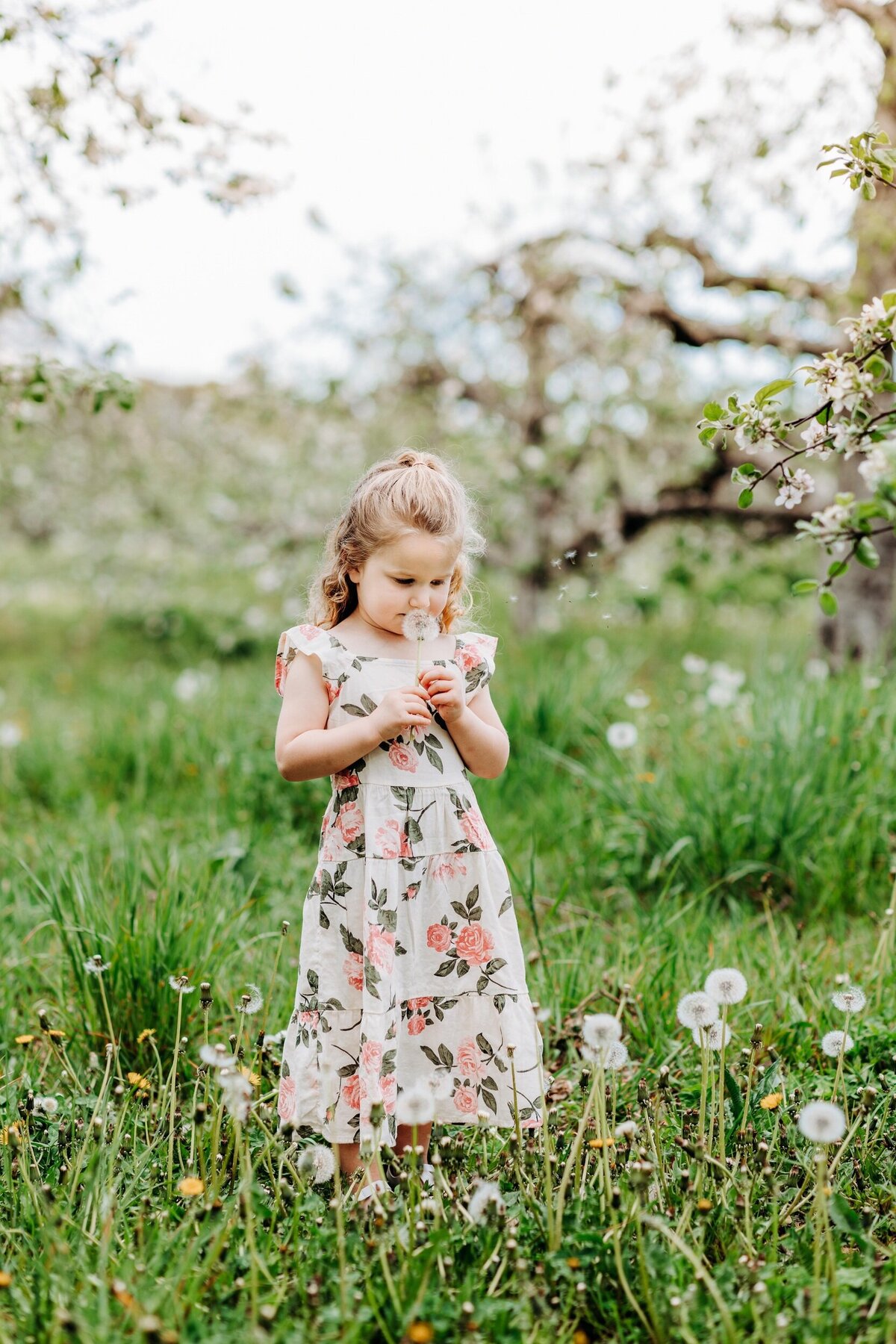 Massachusetts-Family-Photographer-02