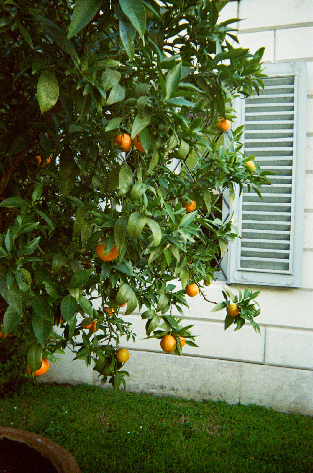 italy-film-photographer-melissa-wahler-7