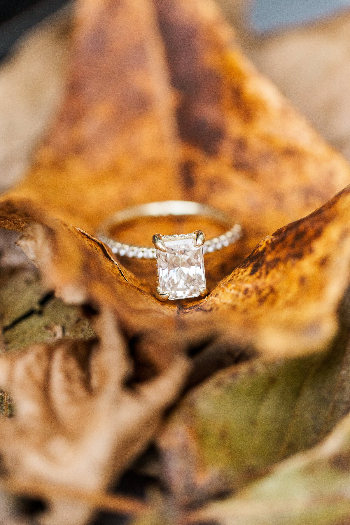 makenzie_john_engaged-4276