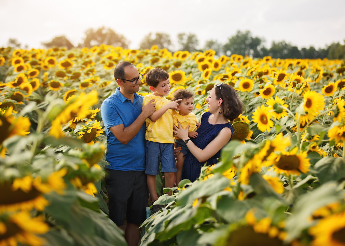 MiniSession-Sunflower-Family-Photographer-Photography-Vaughan-Maple-9