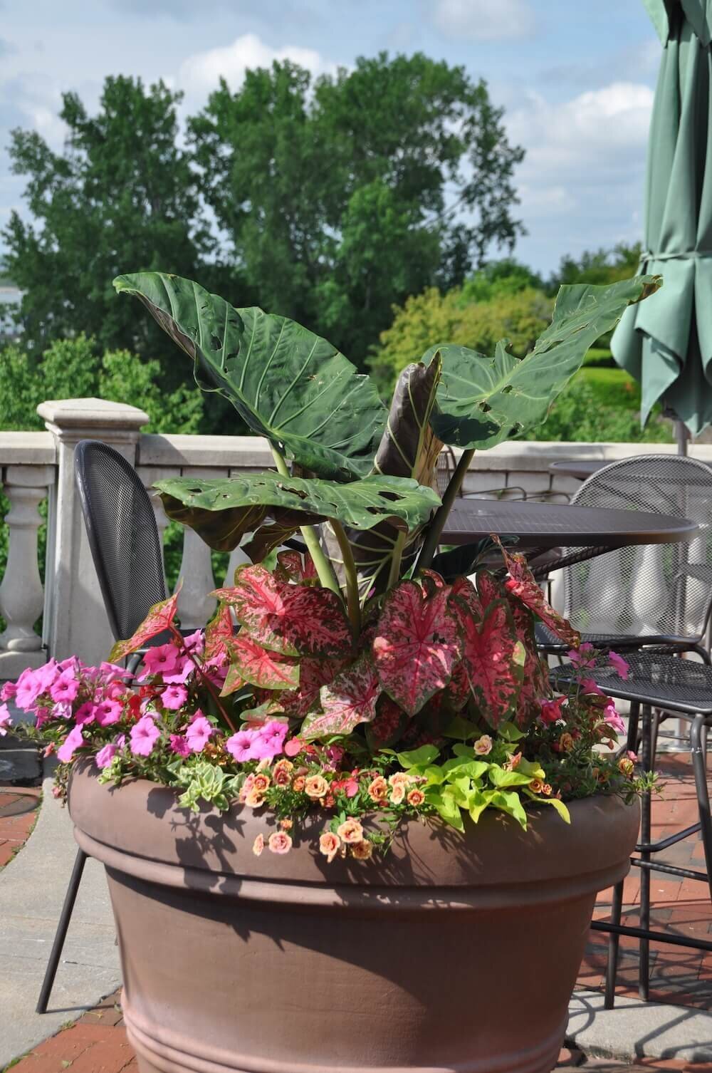Commercial landscape company project in Kansas City