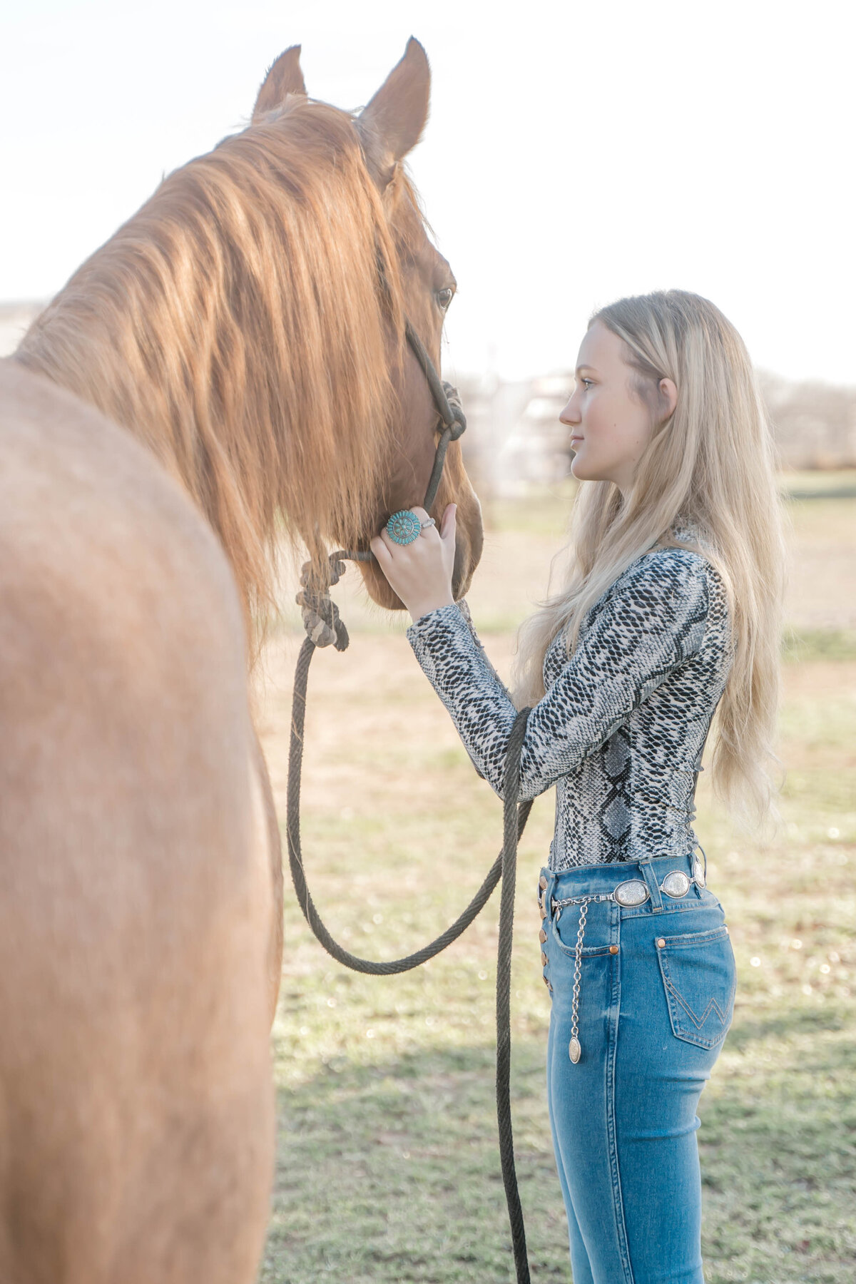 Katelynn horse-1