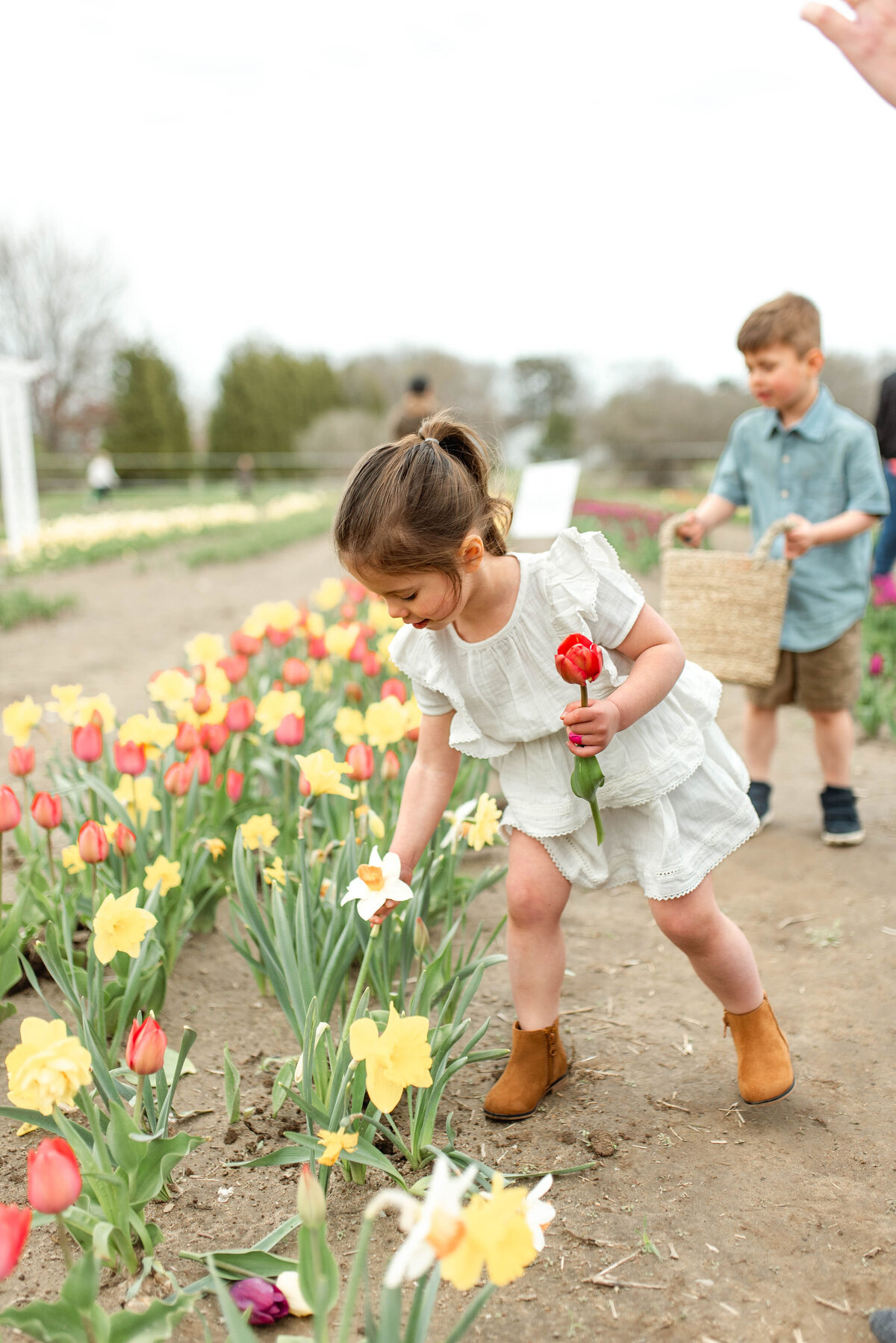 KornackiFamilyMinis-Tulips(11of45)