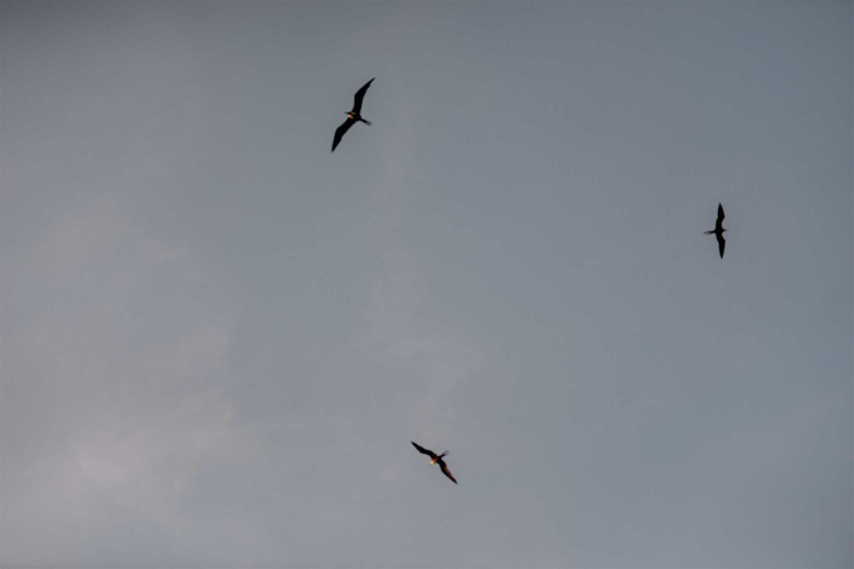 Ideas-for-Adventure-Luxe-Beach-Elopement-Wedding-Experience-Soul-and-Sky-Weddings-1