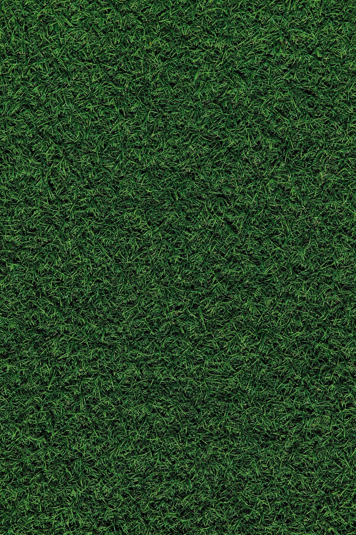 jake-nackos-C2PCa6DhlYE-unsplash