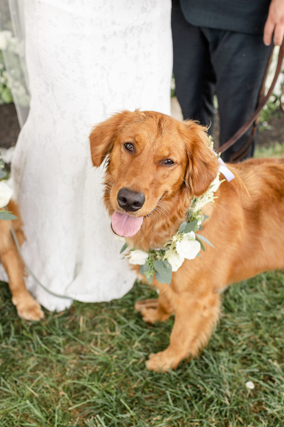 pennsylvania wedding photographer