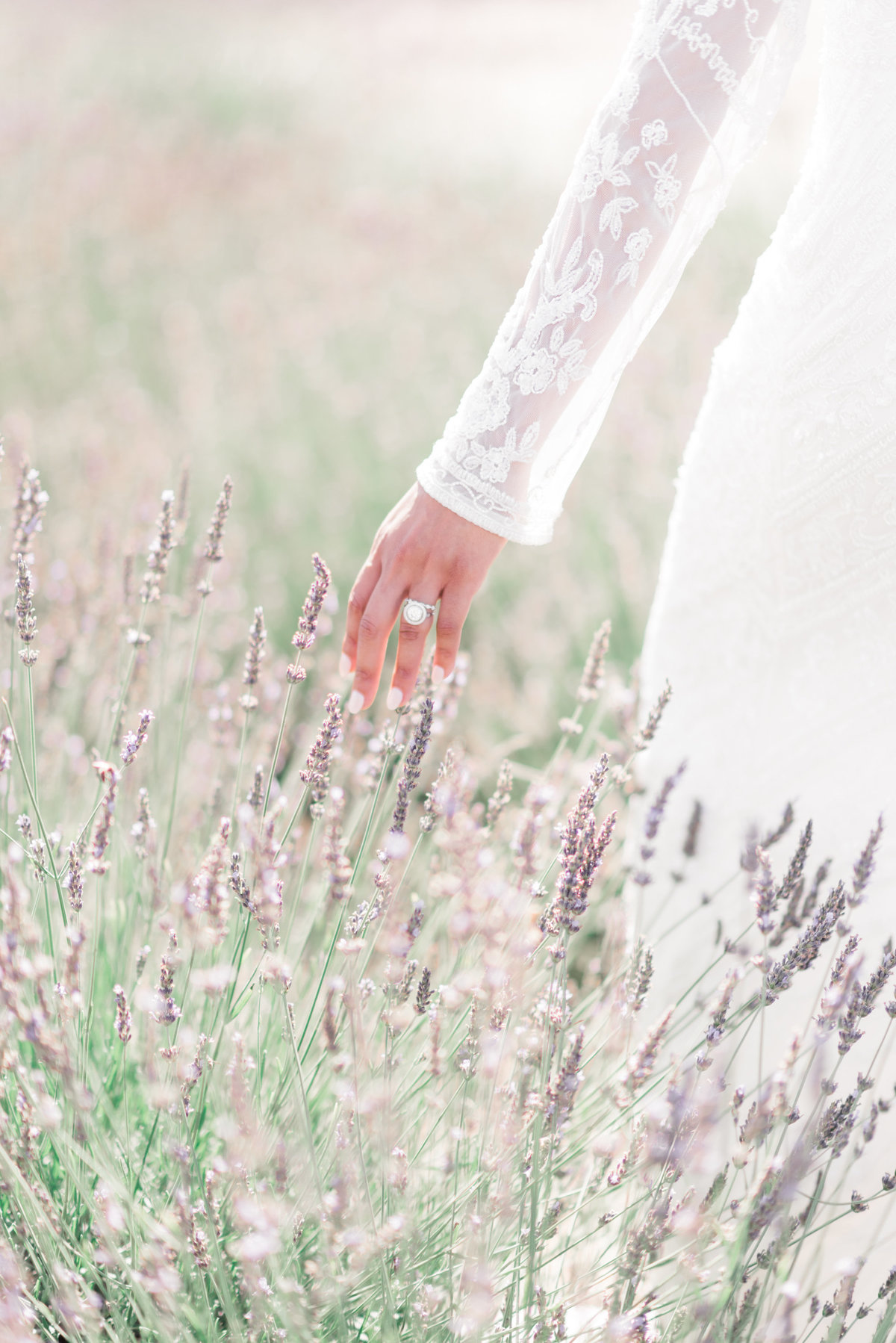 Traverse city michigan vingtage barn wedding photography