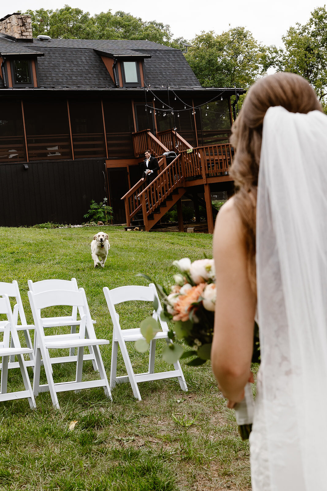 A dog running towards their owner after their wedding