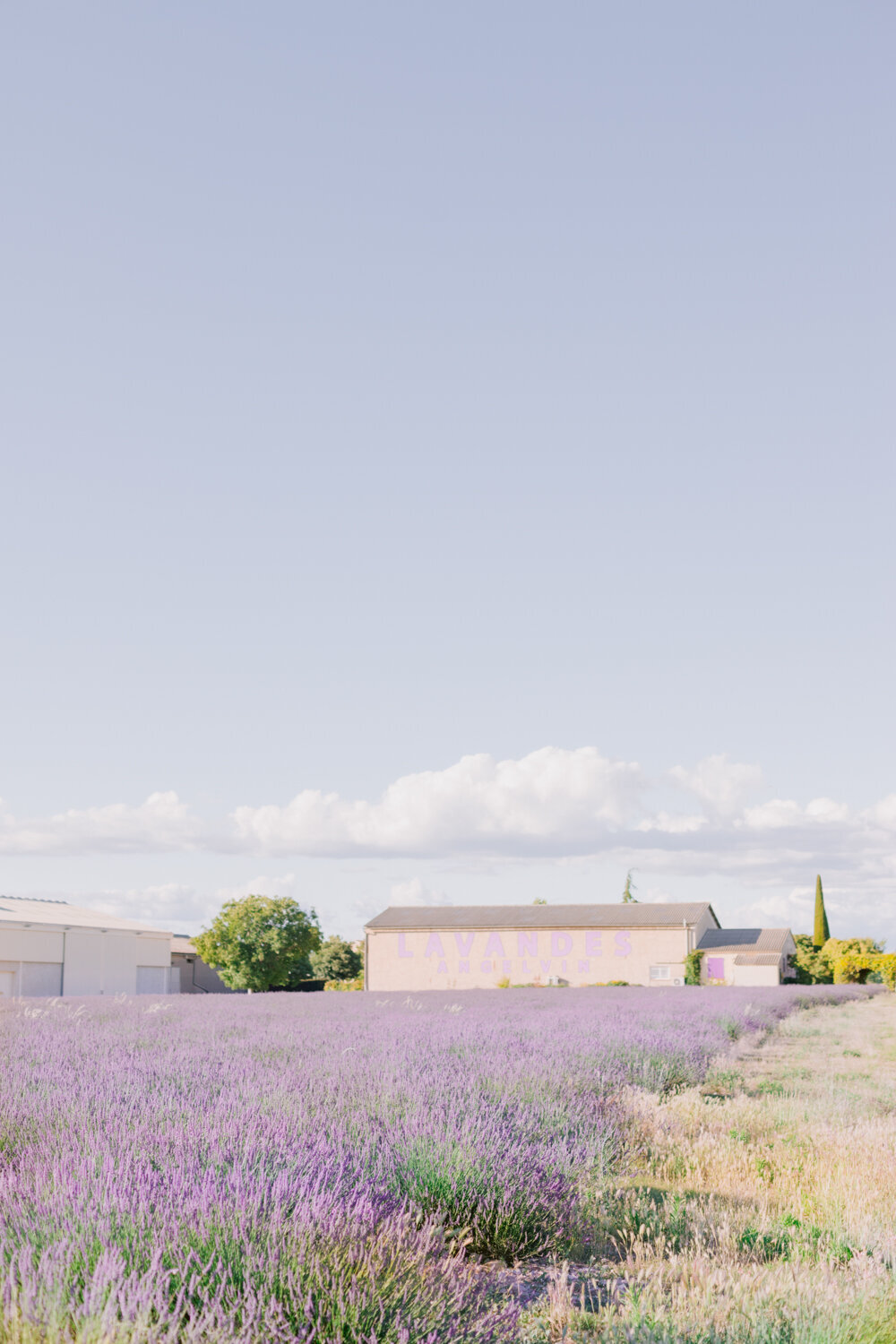 Provence, Paris, French Riviera Travel Photographer-  Claire Macintyre-48