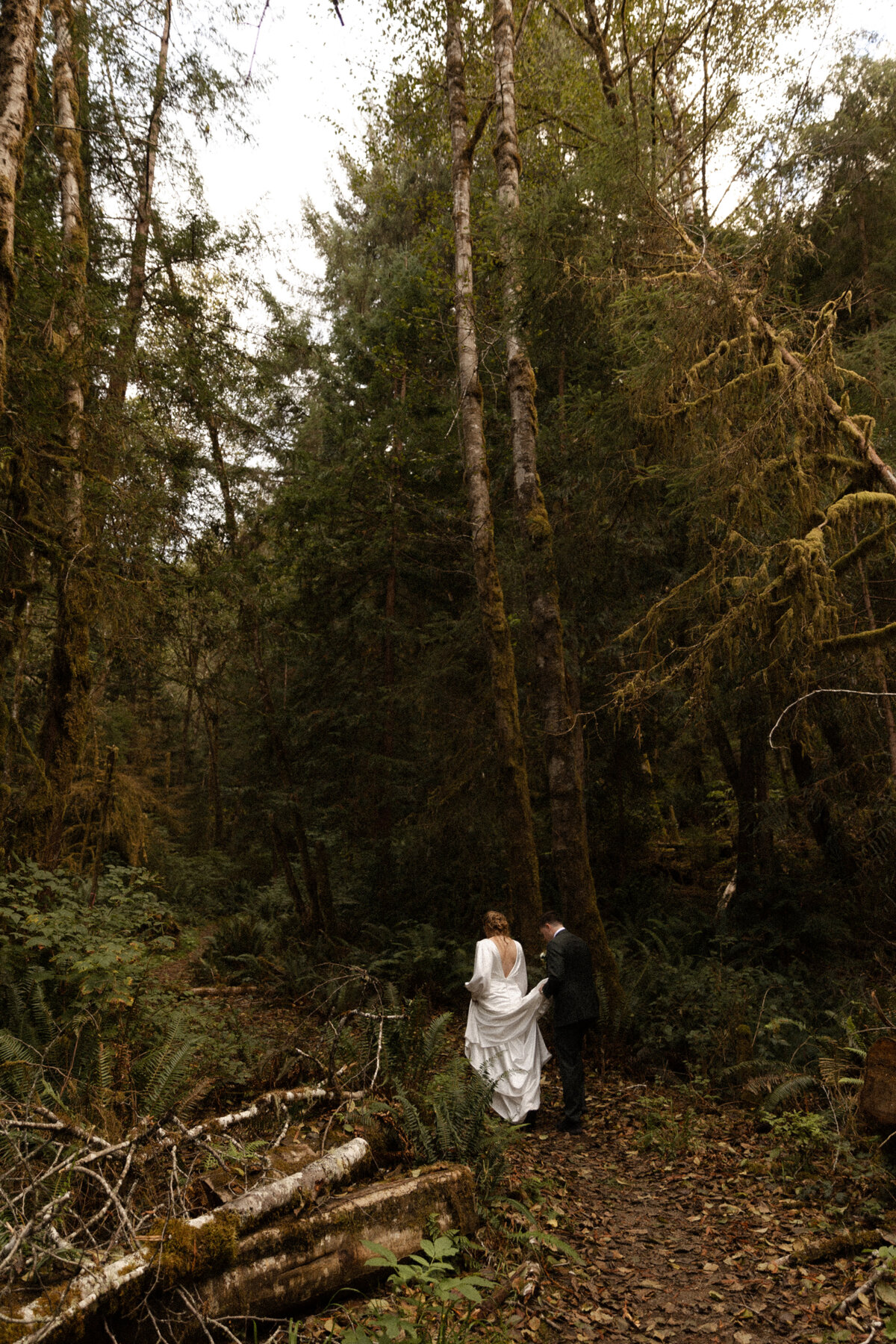 CaliforniaRedwoodsElopementPhotographer_DawnCaltonPhotography-30