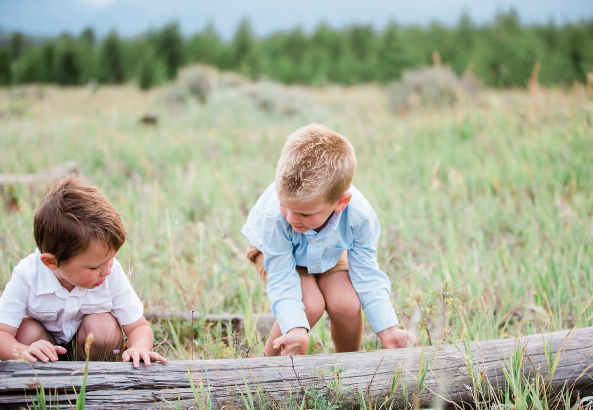 Two young boys are rolling a large log in a grassy mountain meadow