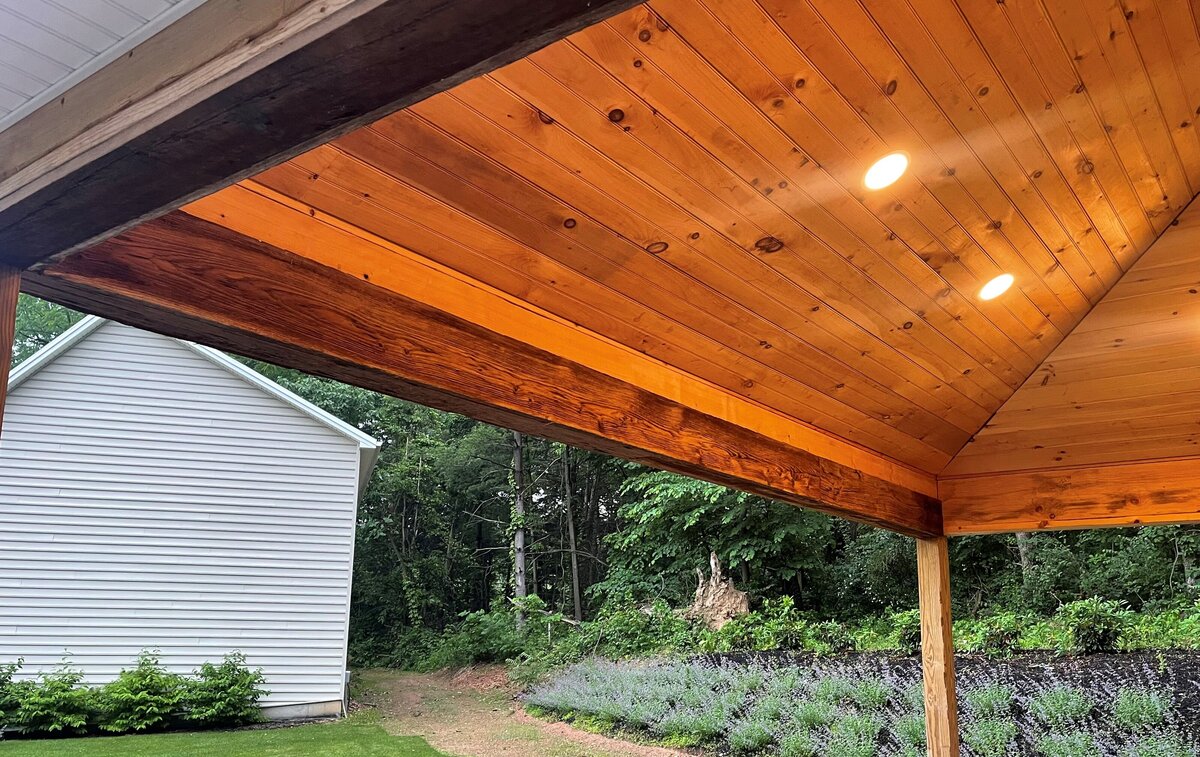Backyard (5)