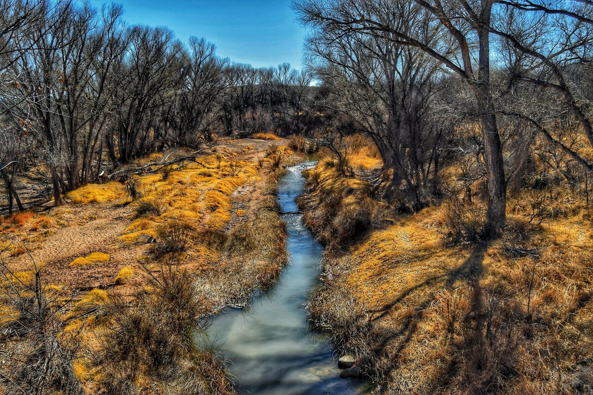 San Pedro River 2-9