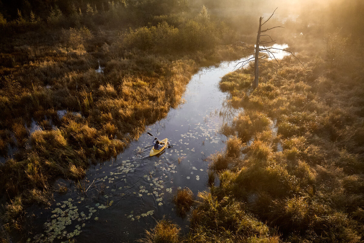 An aerial view of a person kayaking through a winding marsh at LeTerrain in Ladysmith, Quebec, during a golden sunrise. The scene captures serene natural beauty with soft mist, vibrant autumn tones, and tranquil water reflecting the early morning light.