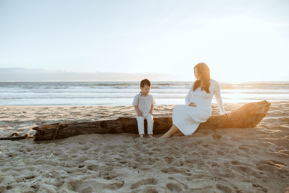 la family photographer 40