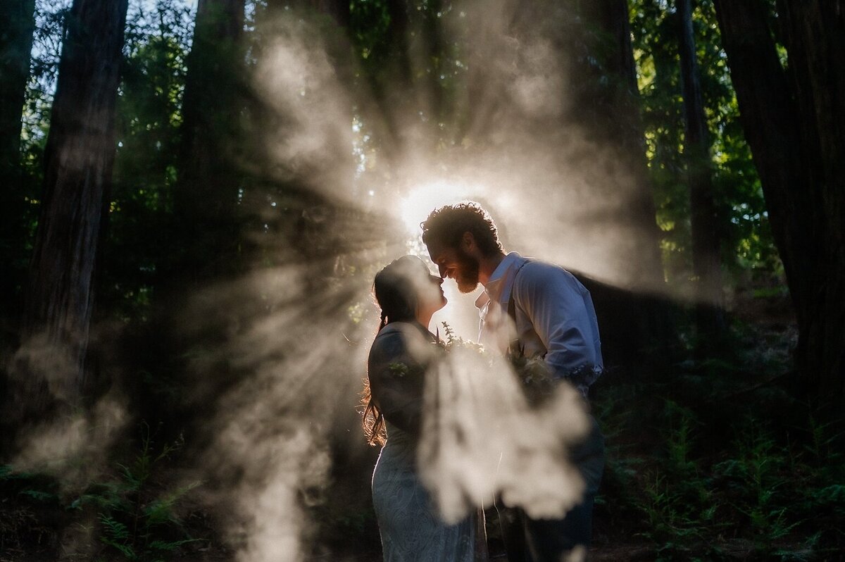 Wedding in the redwoods in Big Sur