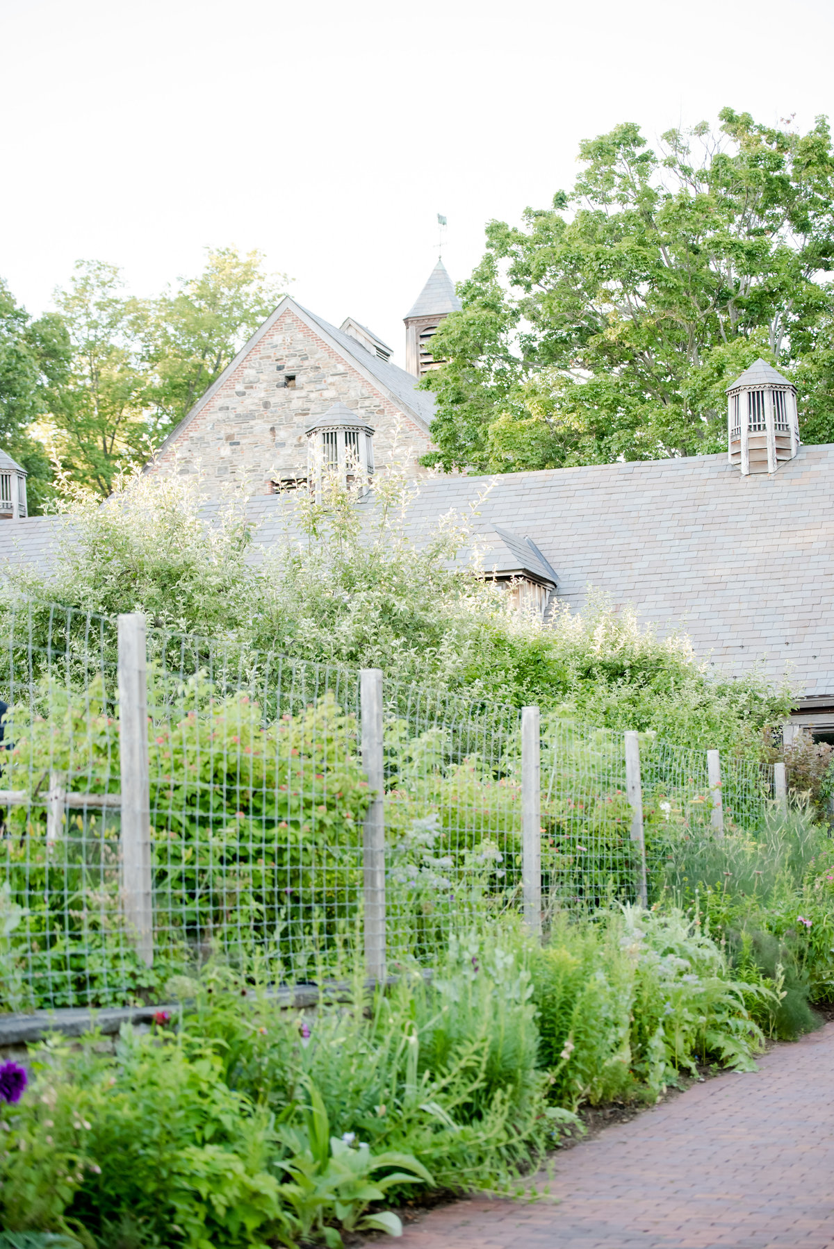 Blue Hill at Stone Barns Wedding-2017-06-24-181416-130