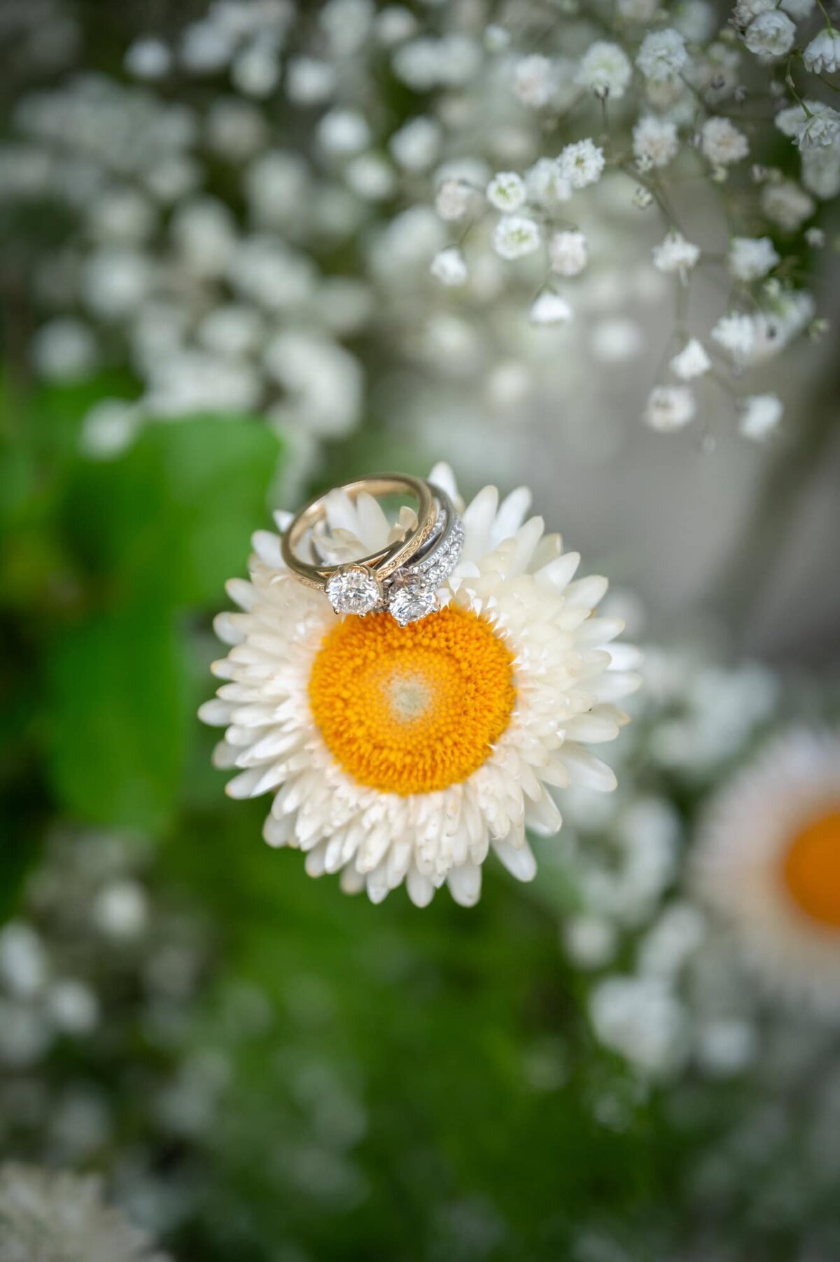 grandrapidsweddingphotographer-lk66