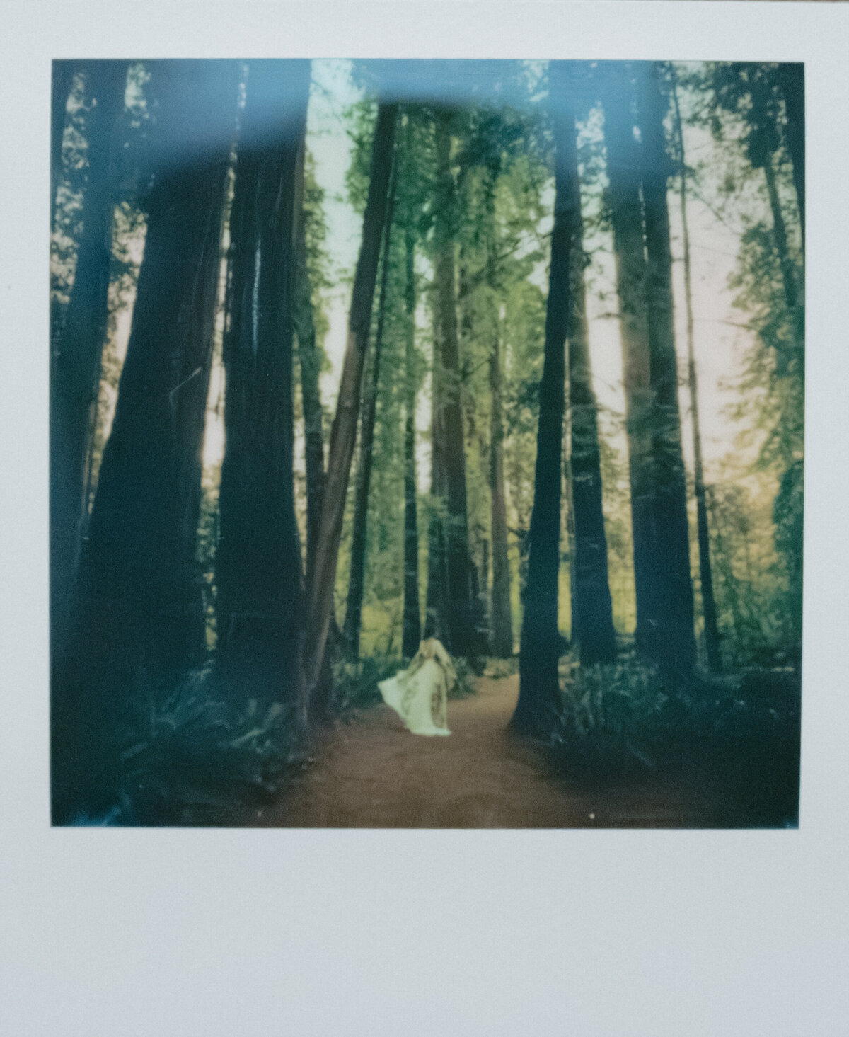 04-29-25_Redwood Elopement_PRPLLC-542