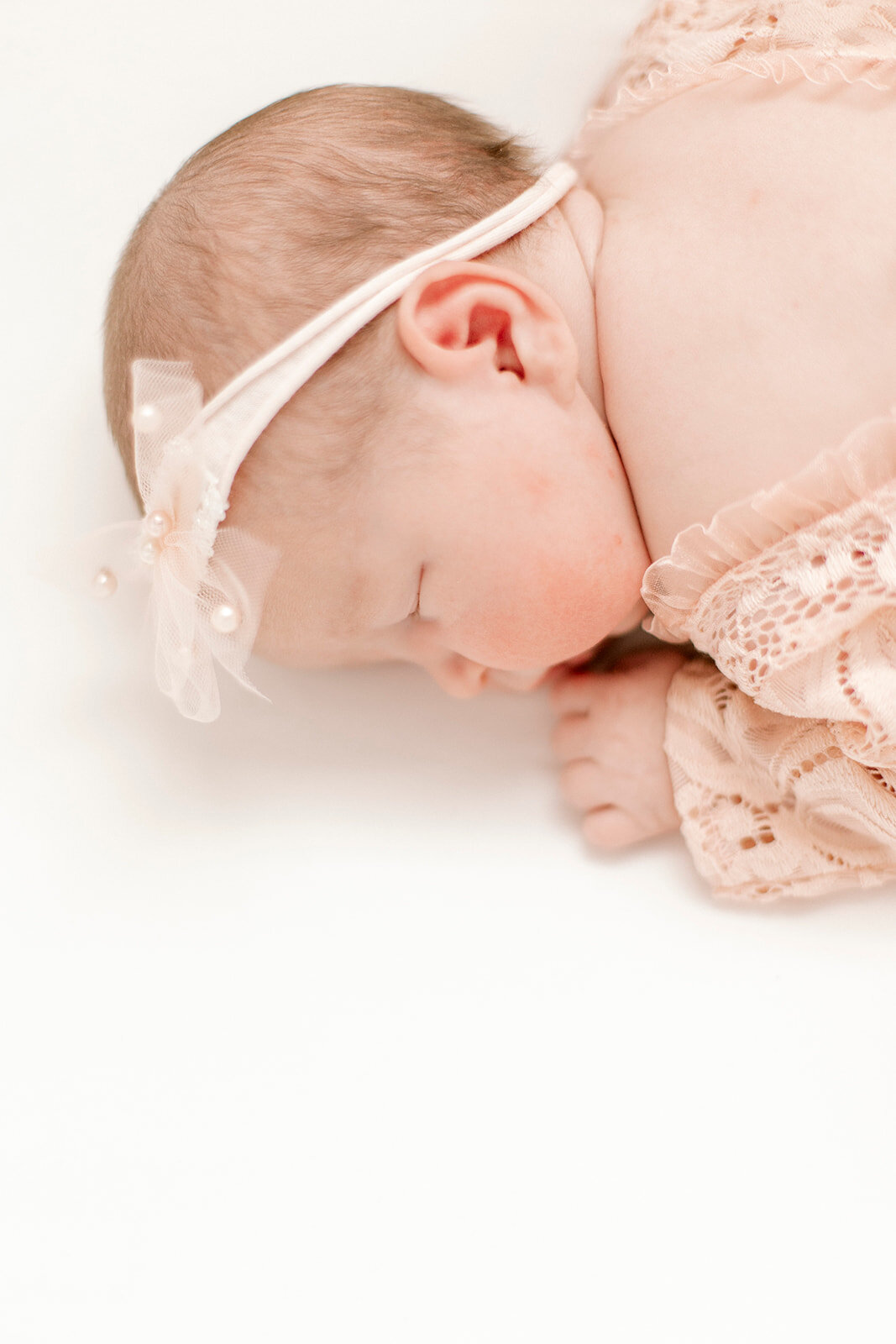 Chicago family photographers 