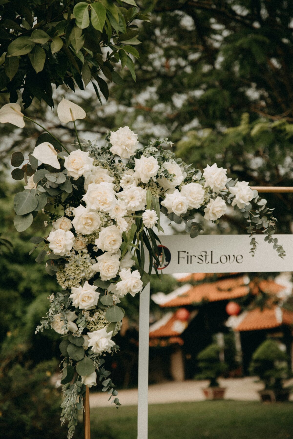 pew-nguyen-gcEhEO0SkQM-unsplash