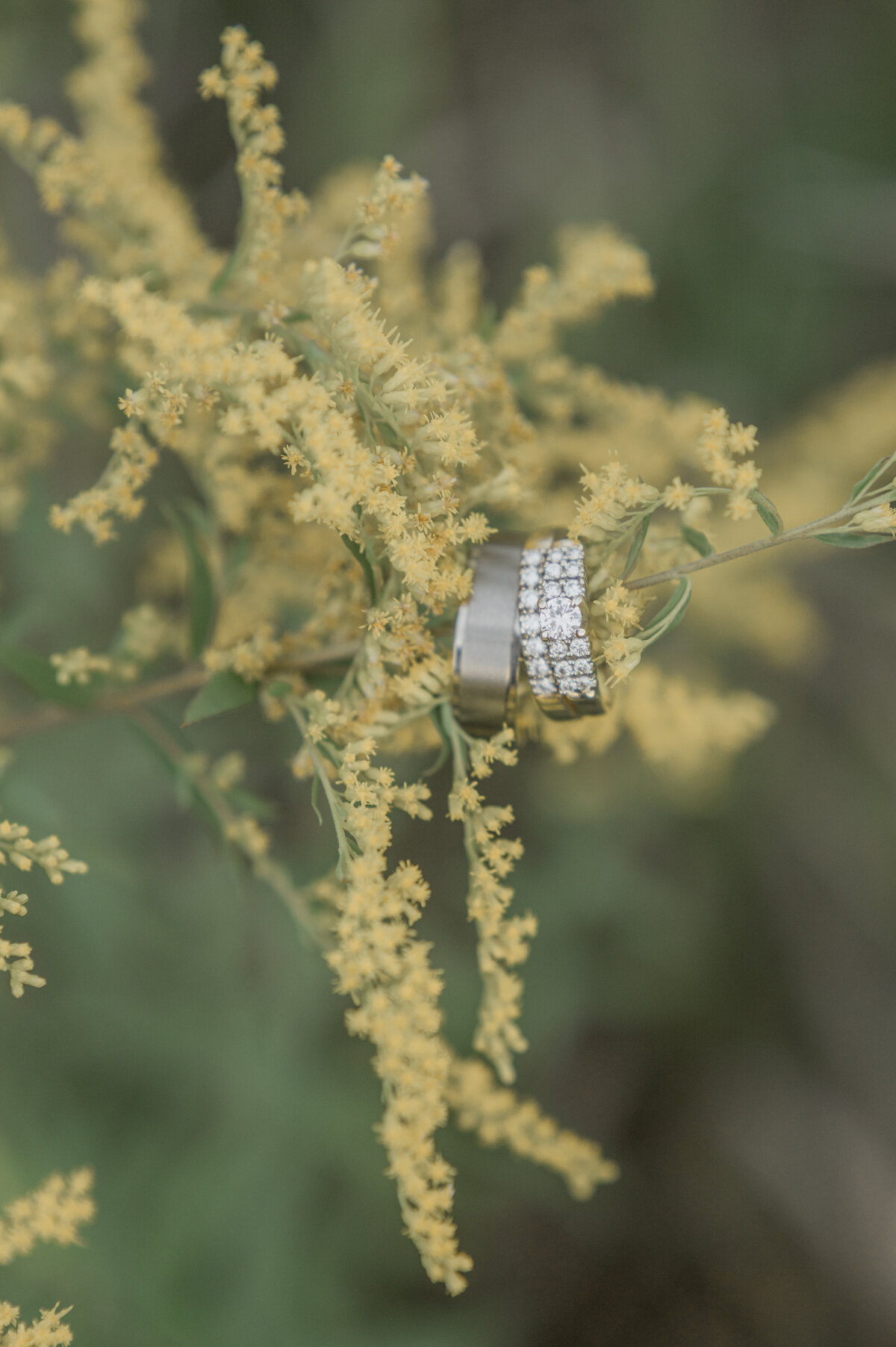 NCWED-4042