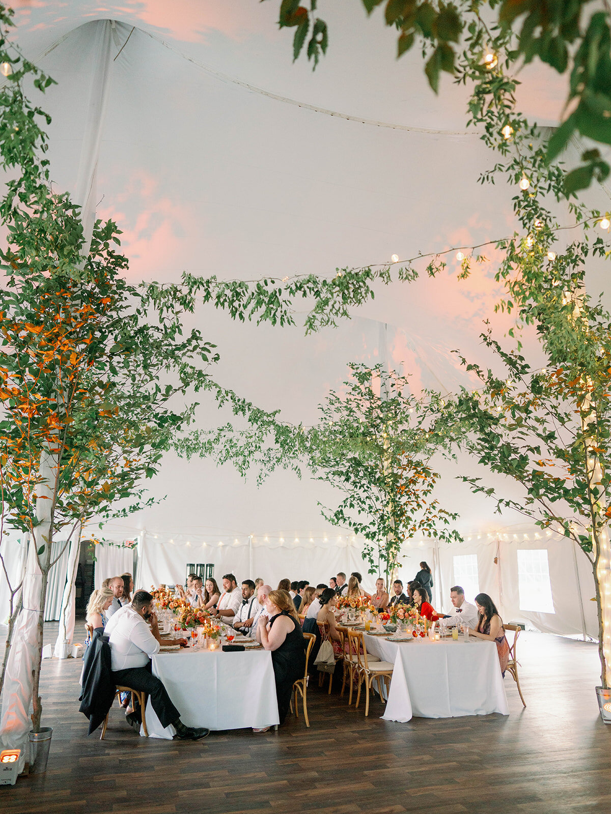 Monika & Calum-Liz Andolina Photography-1213