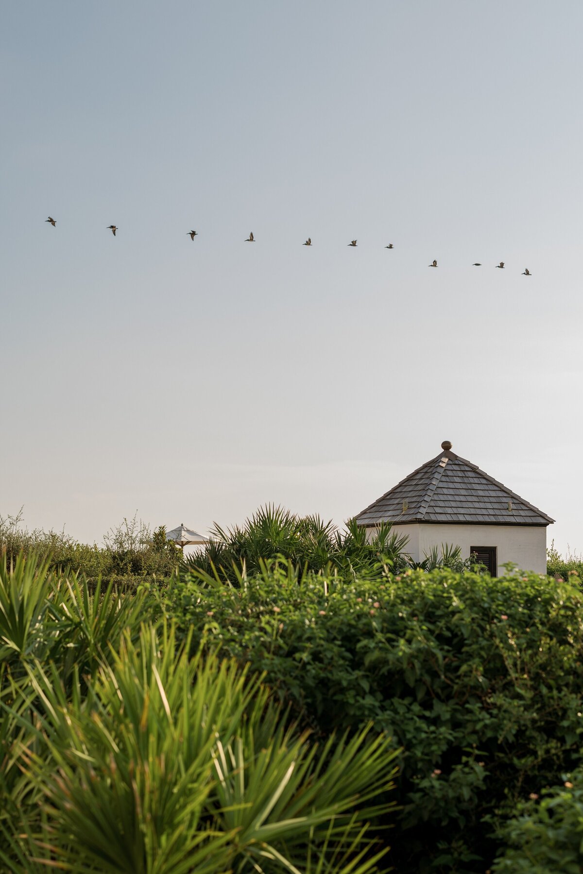 Rosemary-Beach-Proposal-Engagement-Photographer_Jessie-Barksdale-Photography_003