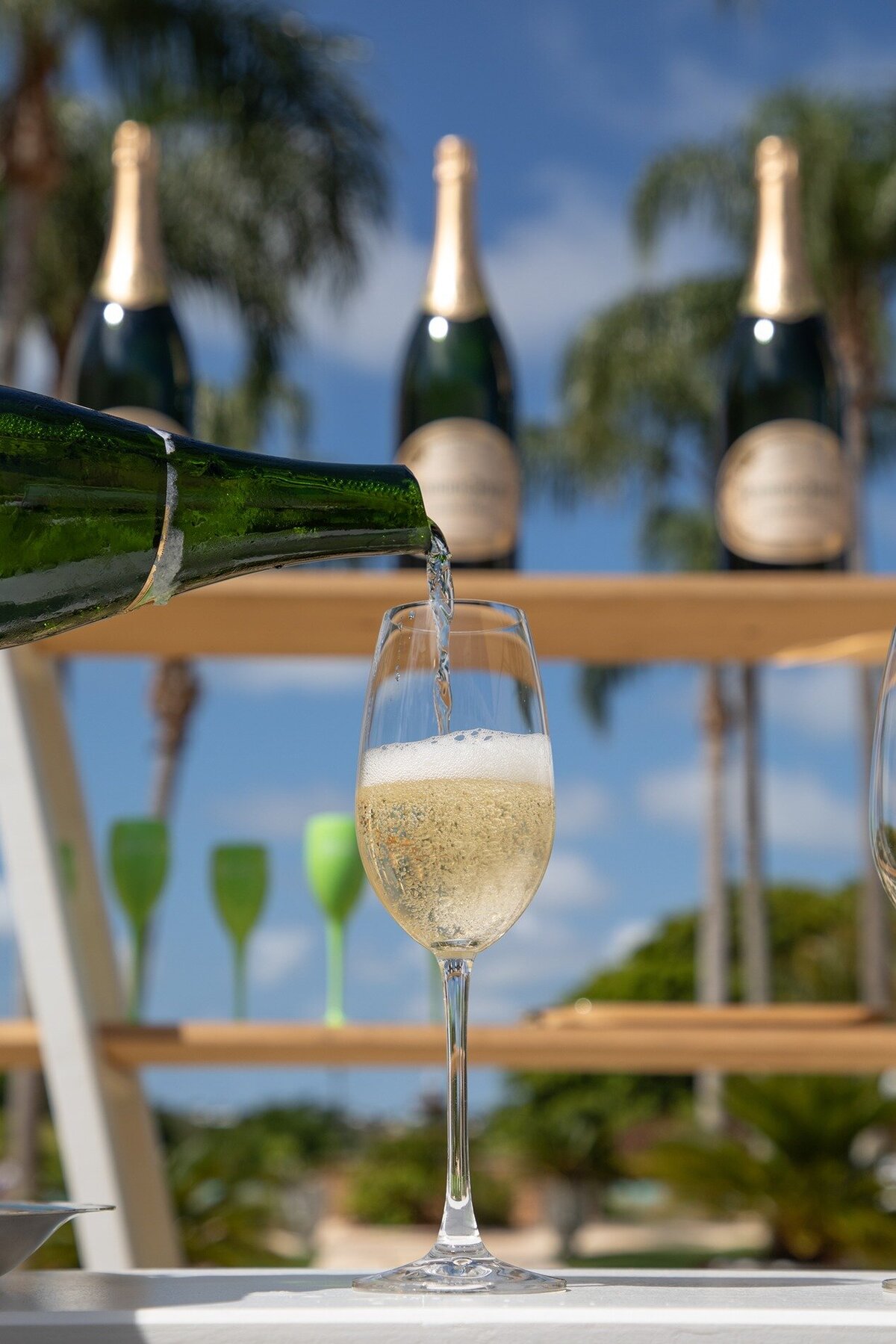 Perrier-Jouet-Garden-Party-Bermuda-Dasfete-30