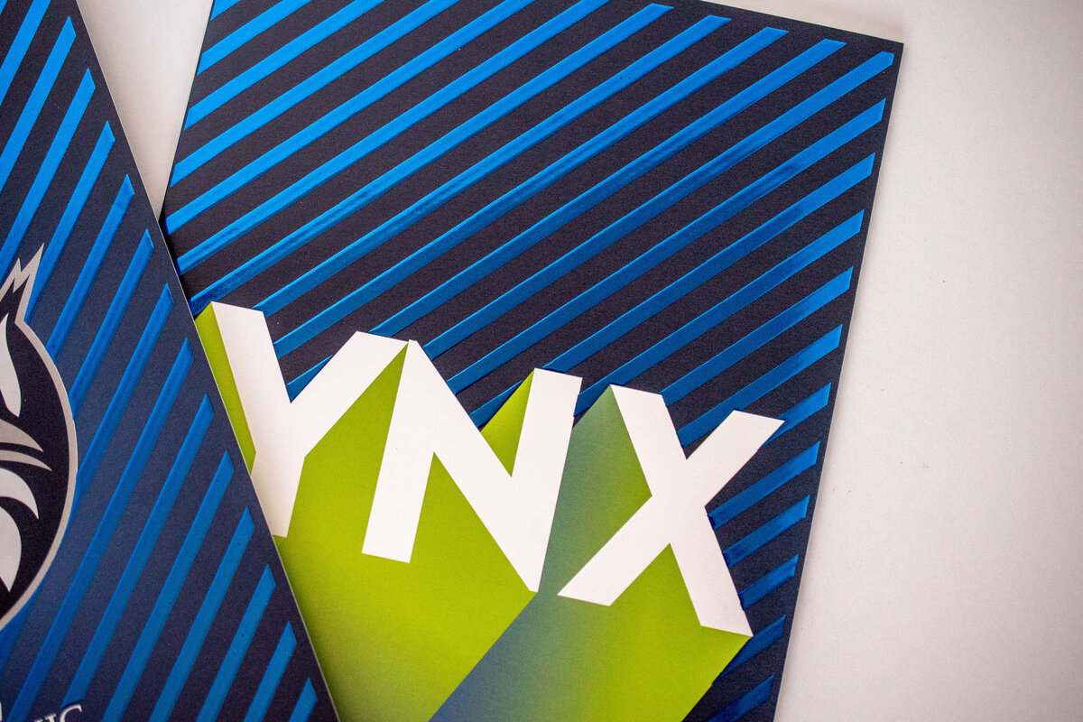 Lynx_Renewal_Piece-3