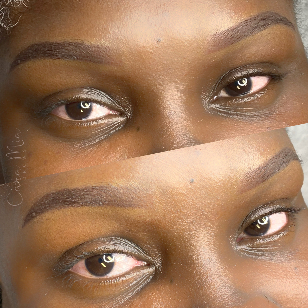 Ombre Powder Brows before and after