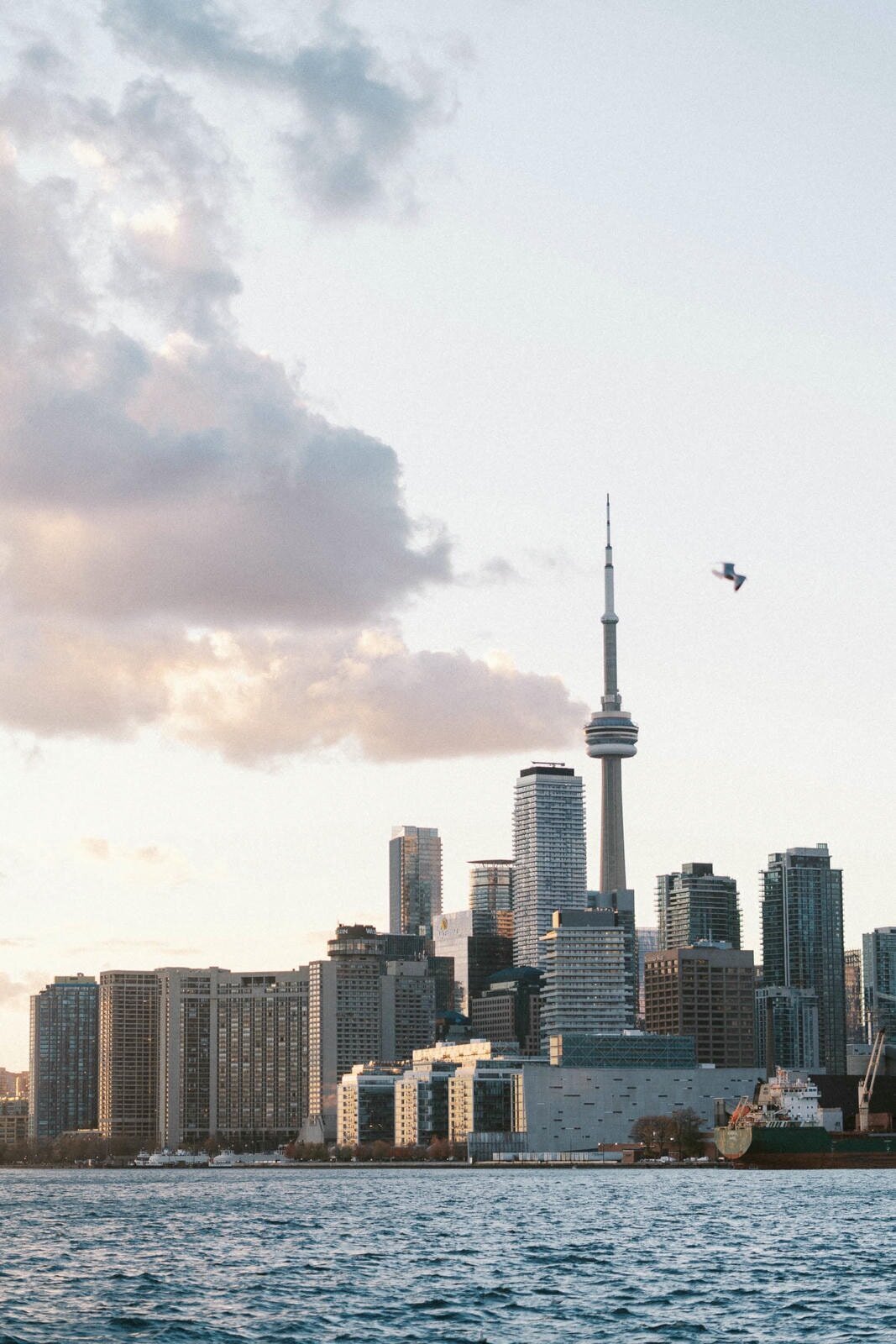 E3-Toronto-Engagement-Nastia-and-Paul-2023-11-13-2500px-1090