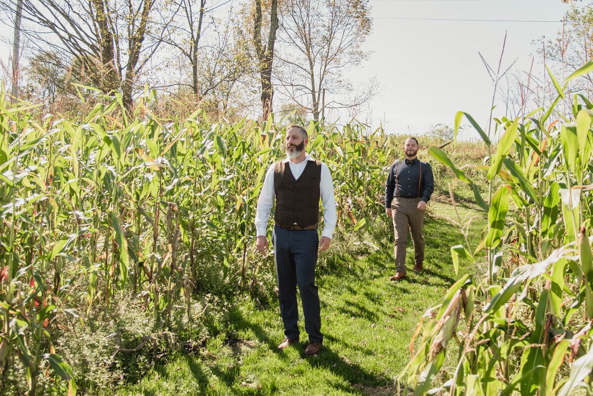 Grooms walking through a cornfield.