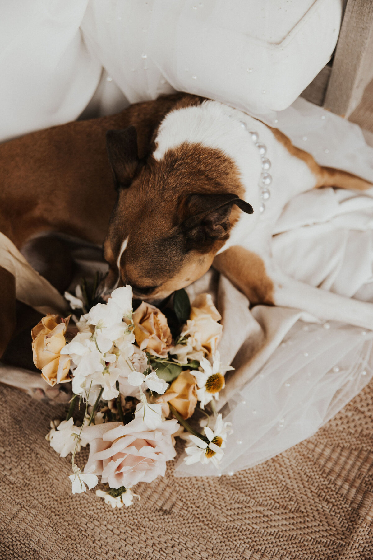 jessi+georgewedding-911