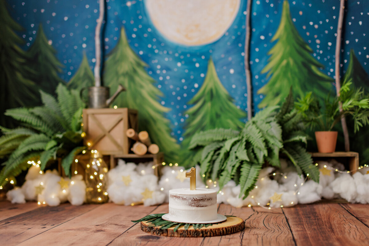 Huntsville AL Cake Smash Photographer