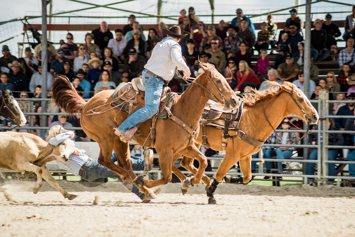 Cowntown Rodeo - Tiffany Danielle Photography -136