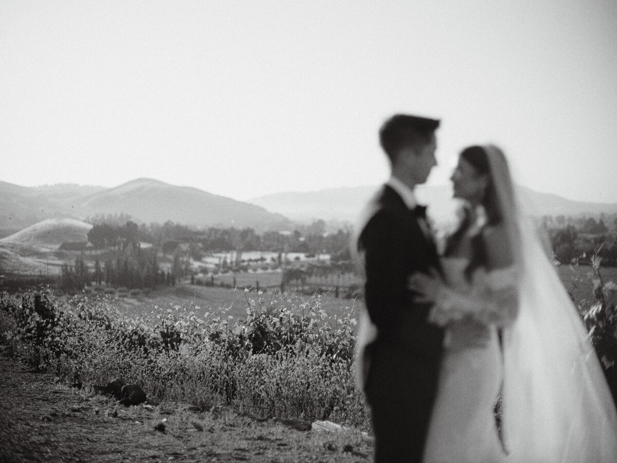 Ashley + John Viansa Sonoma Winery Wedding Cassie Valente Photography 514
