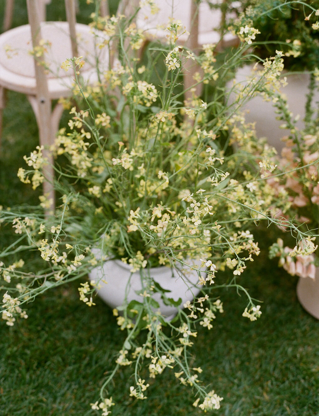 AnnaCalvin-Wed2025-515