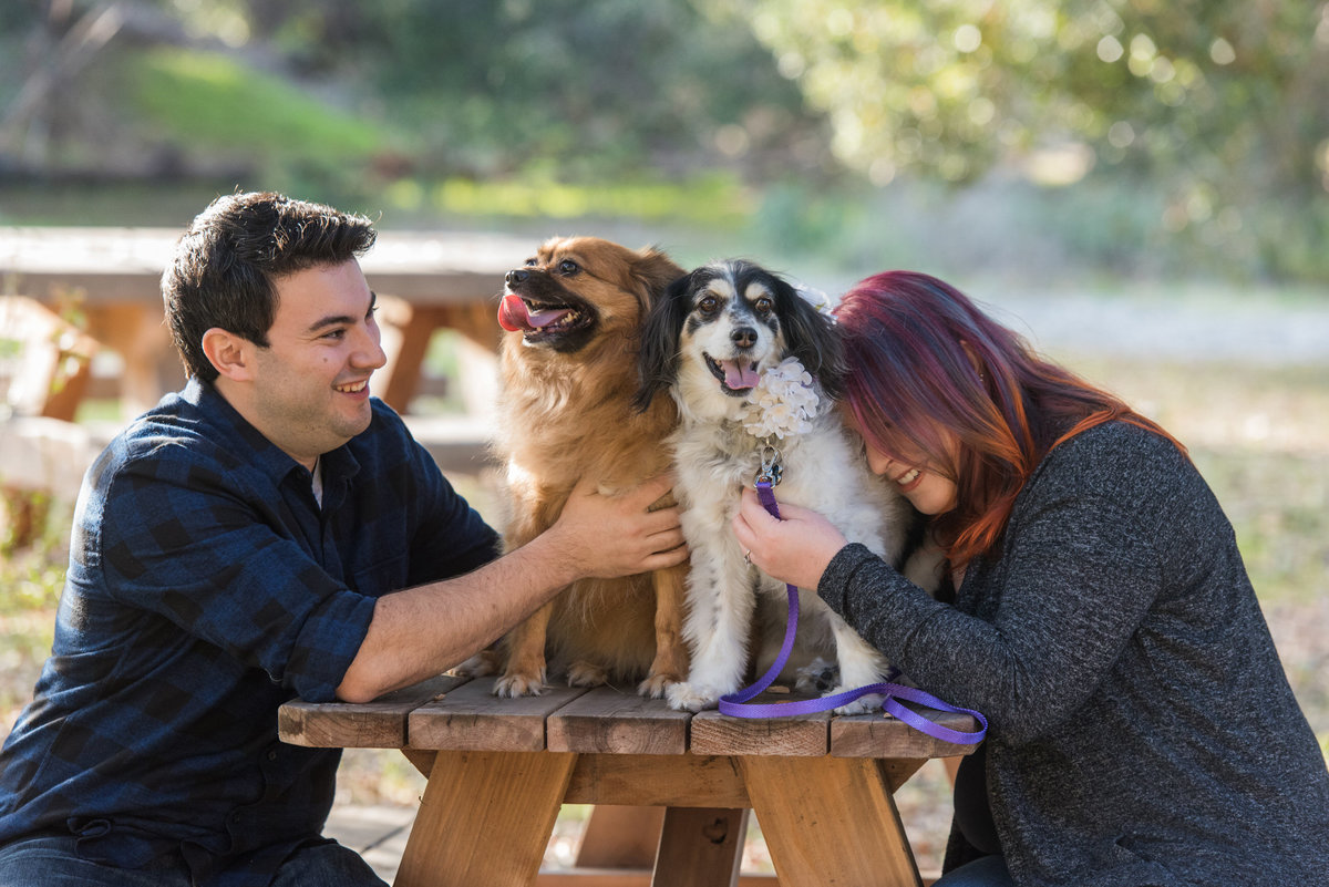 King-Gillette-Ranch-Engagement-photos-6