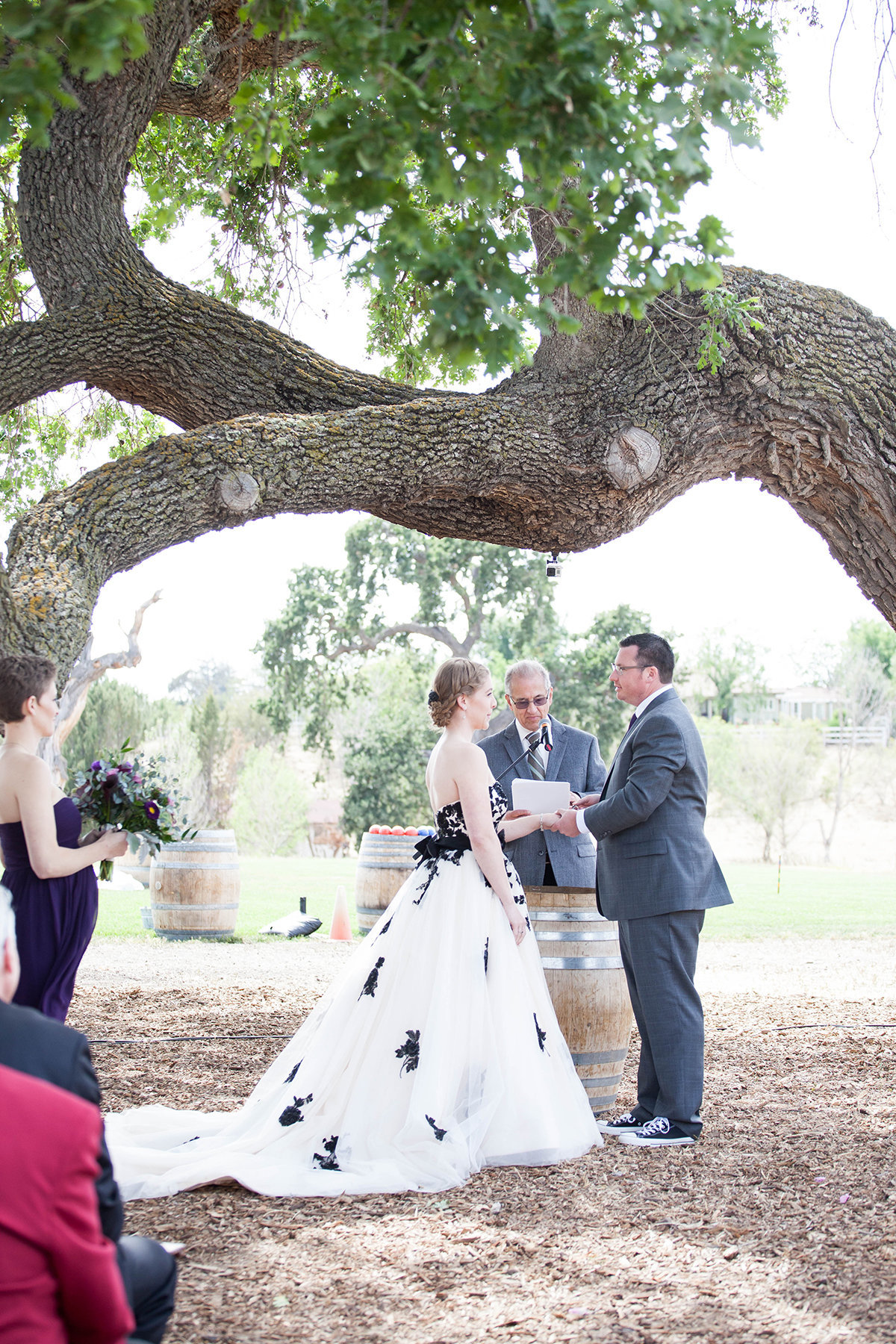 santa-ynez-rustic-wedding-ceremony-oak-tree-halley-lutz-photography