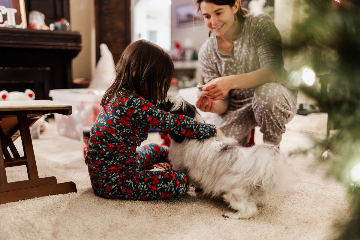 houston-christmas-mini-sessions-2024_213