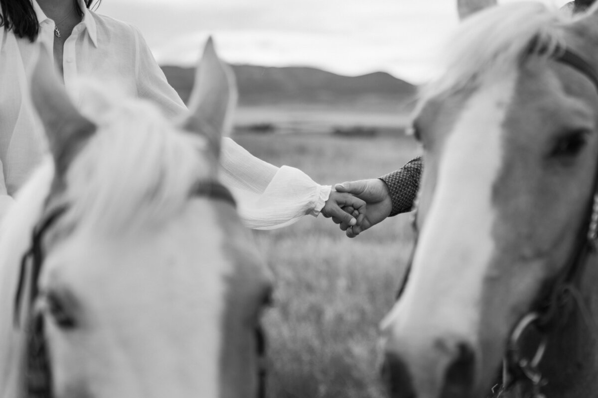 Montana-VenturetoElope-37